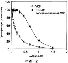Способы применения sns-595 для лечения субъектов с онкологическими заболеваниями, имеющих сниженную активность brca2 (патент 2558835)