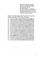 Рекомбинантная плазмидная днк pndctr1, кодирующая гибридный полипептид gst-ndctr1, штамм бактерий escherichia coli bl21(de3)/pndctr1 - продуцент гибридного полипептида gst-ndctr1 и гибридный полипептид gst-ndctr1, обладающий способностью хелатировать ионы меди, серебра и платины (патент 2603092)