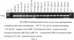 Способ криоконсервации пазушных почек in vitro растений осины (патент 2565803)