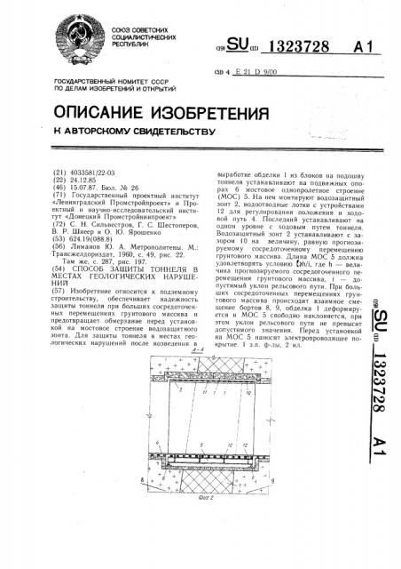 Способ защиты тоннеля в местах геологических нарушений (патент 1323728)