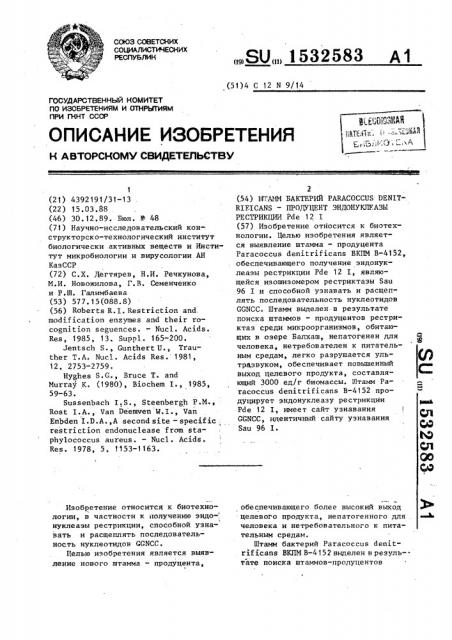 Штамм бактерий paracoccus dеniтrifiсаns-продуцент эндонуклеазы рестрикции р @ 121 (патент 1532583)