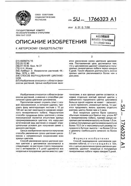 Способ выращивания цикламенов (патент 1766323)