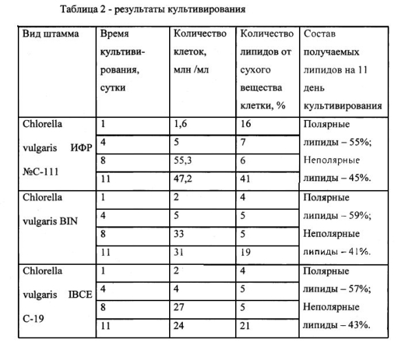 Способ культивирования биомассы с повышенным содержанием липидов (патент 2569149)