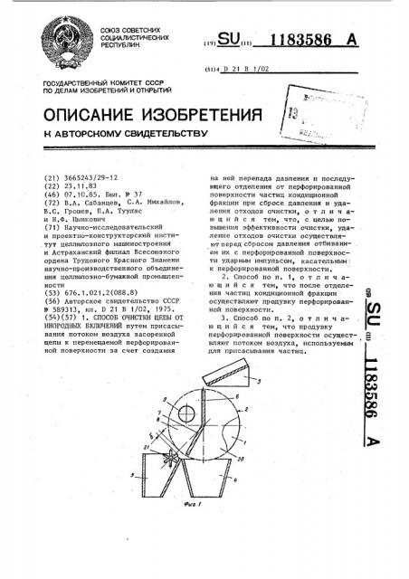 Способ очистки щепы от инородных включений (патент 1183586)