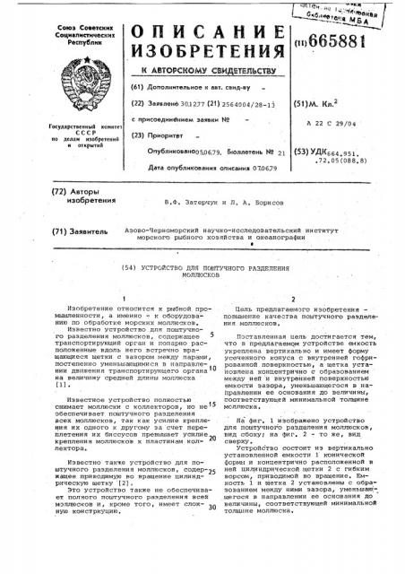 Устройство для поштучного разделения моллюсков (патент 665881)