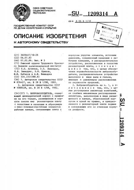 Вибровозбудитель (патент 1209314)