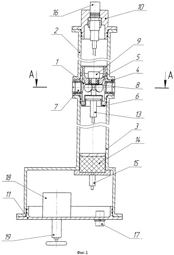 Локализующее устройство для исследований быстропротекающих гидродинамических процессов (патент 2548462)