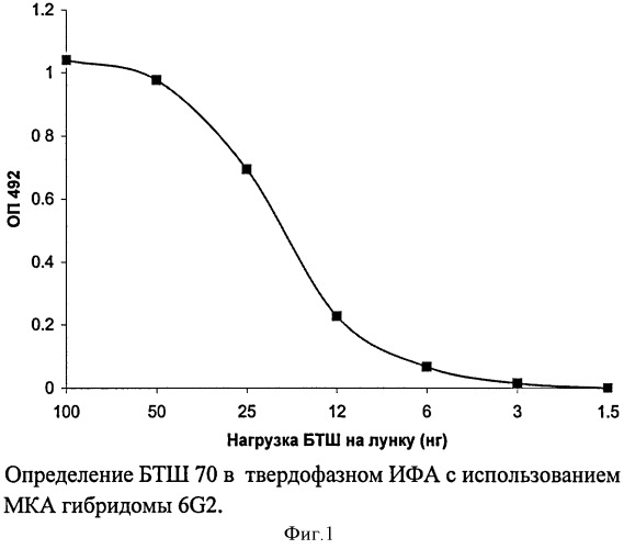 Штамм гибридных культивируемых клеток животных mus musculus 6g2 - продуцент моноклональных антител, специфичных к белку теплового шока 70 (патент 2380413)