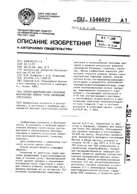 Способ идентификации генотипов многолетних злаков трибы пшеницевые (тriтiсеае) (патент 1546022)