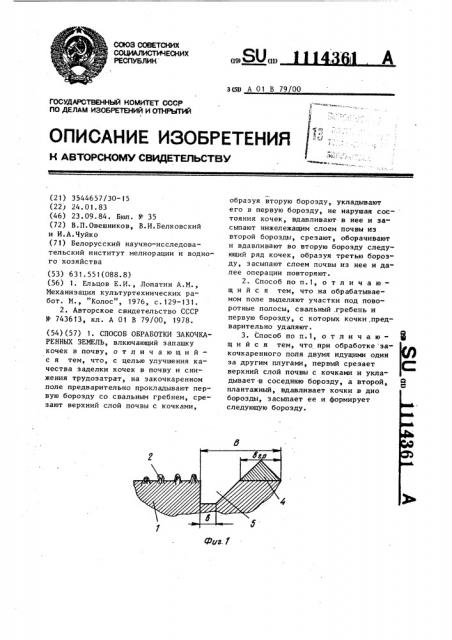 Способ обработки закочкаренных земель (патент 1114361)