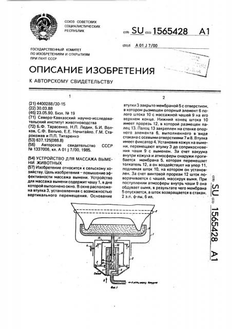 Устройство для массажа вымени животных (патент 1565428)