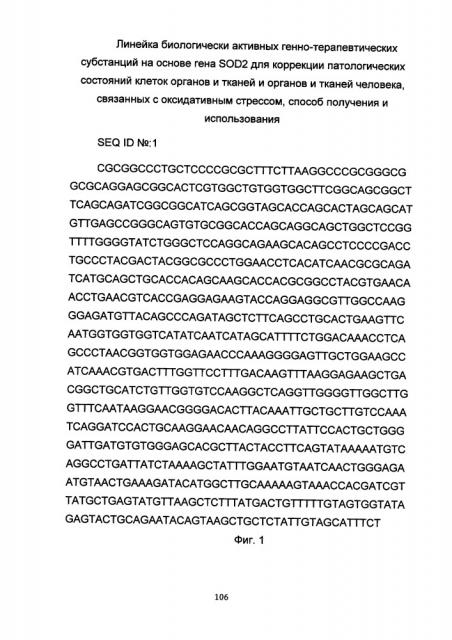 Линейка биологически активных генно-терапевтических субстанций на основе гена sod2 для коррекции патологических состояний клеток органов и тканей и органов и тканей человека, связанных с оксидативным стрессом, способ получения и использования (патент 2651757)