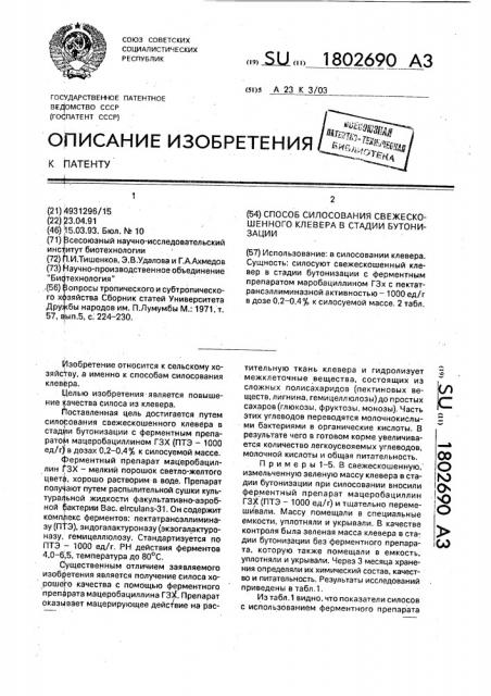 Способ силосования свежескошенного клевера в стадии бутонизации (патент 1802690)