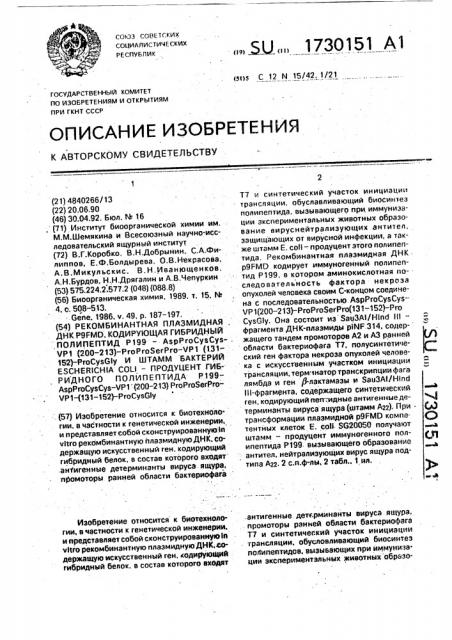 Рекомбинантная плазмидная днк р 9 f мд, кодирующая гибридный полипептид р199 - asp pro cys cys - vp1 /200 - 213/ - pro pro ser pro - vp1 /131 - 152/ pro cys gly и штамм бактерий еsснеriснiа coli продуцент гибридного полипептида р199 - asp pro cys gly - vp1 /200 - 213/ pro pro ser pro - vp1 /131 - 152/ - pro cys gly (патент 1730151)