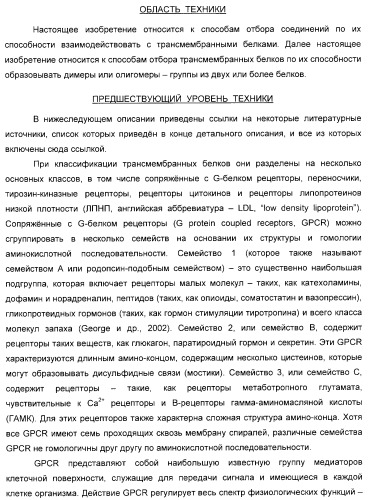 Способ идентификации соединений, взаимодействующих с трансмембранными белками (патент 2326166)