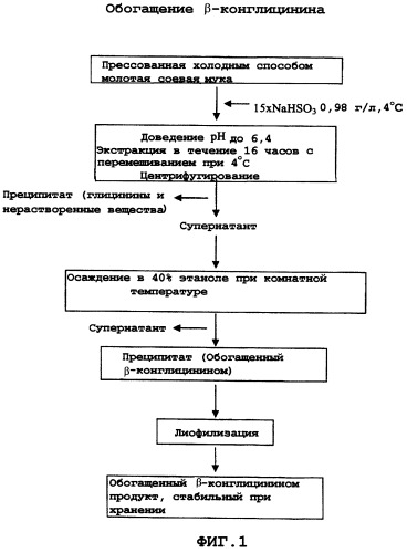 Способ экстрагирования, очистки и ферментативной модификации альфа субъединицы 7s-глобулина сои для использования в качестве гипохолестеринемического агента (патент 2300898)