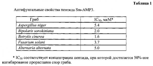 Пептид звездчатки stellaria media l., обладающий антифунгальной активностью (патент 2603058)