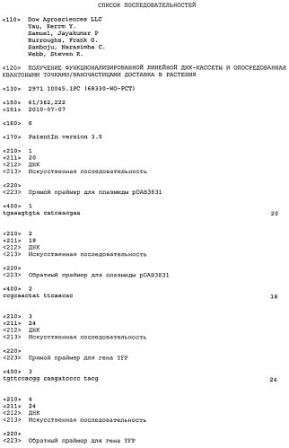 Получение функционализированной линейной днк-кассеты и опосредованная квантовыми точками/наночастицами доставка в растения (патент 2574785)