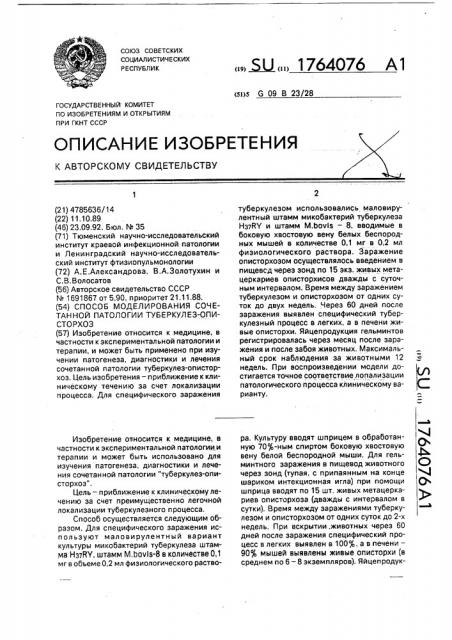 Способ моделирования сочетаний патологии турбекулез- описторхоз (патент 1764076)