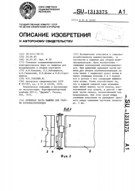 Приемная часть машины для уборки клубнекорнеплодов (патент 1313375)