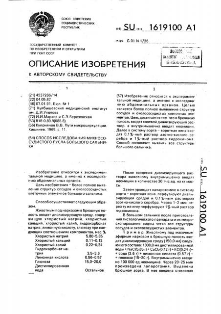 Способ исследования микрососудистого русла большого сальника (патент 1619100)