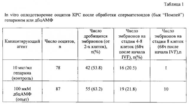 Способ капацитации криоконсервированных сперматозоидов крупного рогатого скота для работ по in vitro оплодотворению яйцеклеток (патент 2639268)