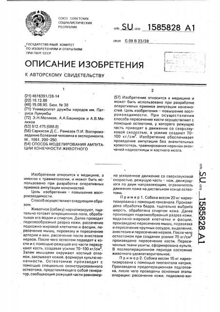 Способ моделирования ампутации конечности животного (патент 1585828)