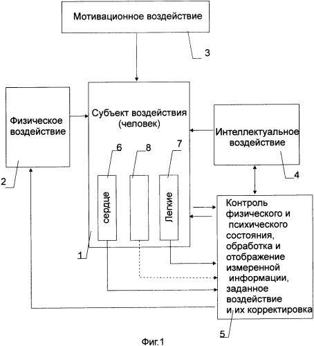 Способ оздоровления и сопряженного взаимозависимого развития физических и интеллектуальных способностей человека на мотивационной и оздоровительной основах (патент 2361523)