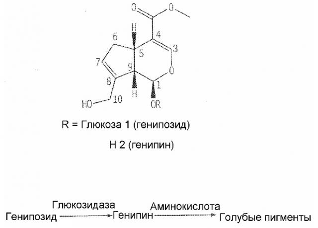 Снимающие усталость экстракты трав и содержащие их напитки (патент 2623629)