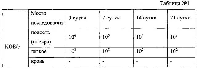 Способ моделирования ограниченной хронической эмпиемы плевры (патент 2636177)