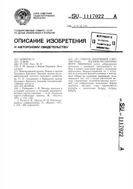 Способ получения узколистных,малооблиственных форм пшеницы (патент 1117022)