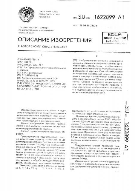 Способ моделирования деструктивно-дистрофического процесса в суставе (патент 1622899)