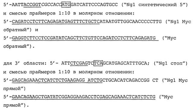 Способ блокирования сигнального пути, активируемого фактором wnt8 в клетках животных с помощью белков семейства noggin (патент 2473561)