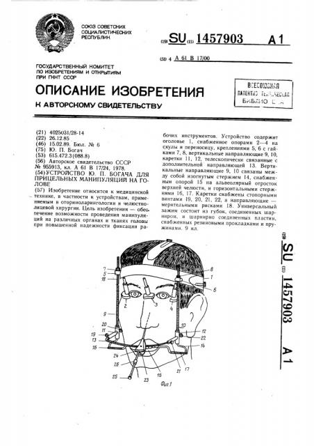 Устройство ю.п.богача для прицельных манипуляций на голове (патент 1457903)