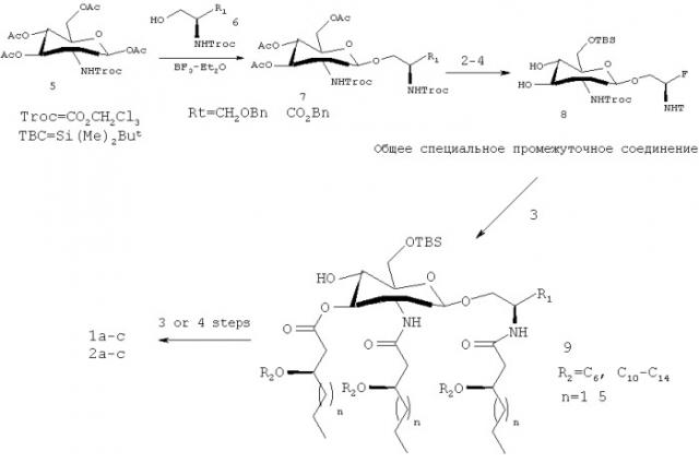 Некоторые аминоалкилглюкозаминидфосфатные производные и их применение (патент 2544850)