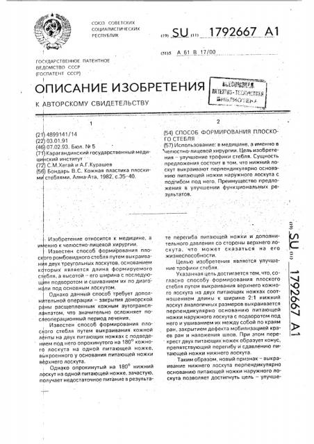 Способ формирования плоского стебля (патент 1792667)