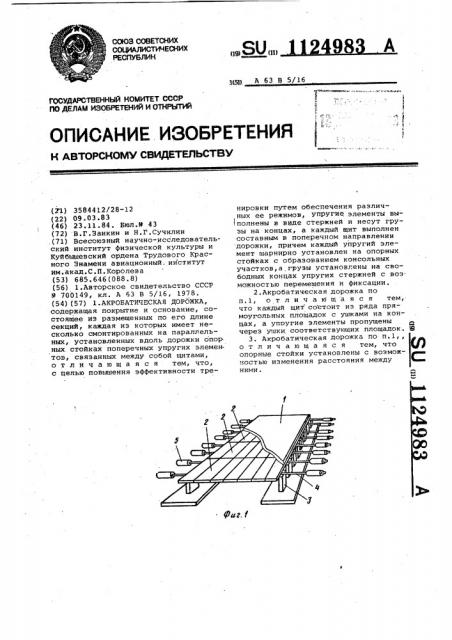 Акробатическая дорожка (патент 1124983)