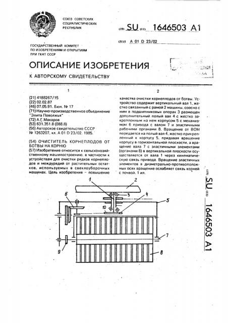 Очиститель корнеплодов от ботвы на корню (патент 1646503)