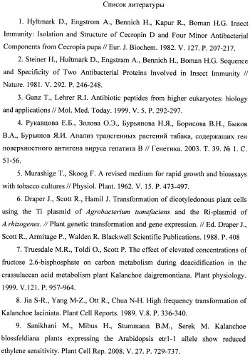 Способ получения генетически модифицированных растений каланхоэ, экспрессирующих ген цекропина p1 (патент 2445768)