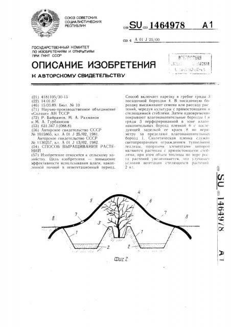 Способ выращивания растений (патент 1464978)