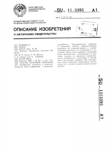 Способ селекции пшеницы (патент 1313395)