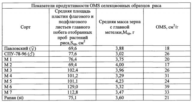 Способ отбора наиболее продуктивных образцов риса (патент 2637366)