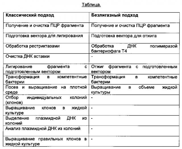 Быстрый способ клонирования и экспрессии сегментов гена родственной вариабельной области антитела (патент 2612910)