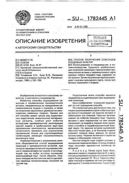 Способ получения саженцев плодовых культур (патент 1782445)