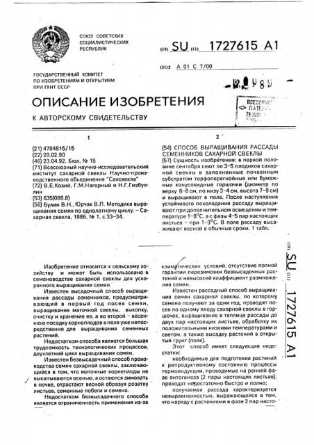 Способ выращивания рассады семенников сахарной свеклы (патент 1727615)