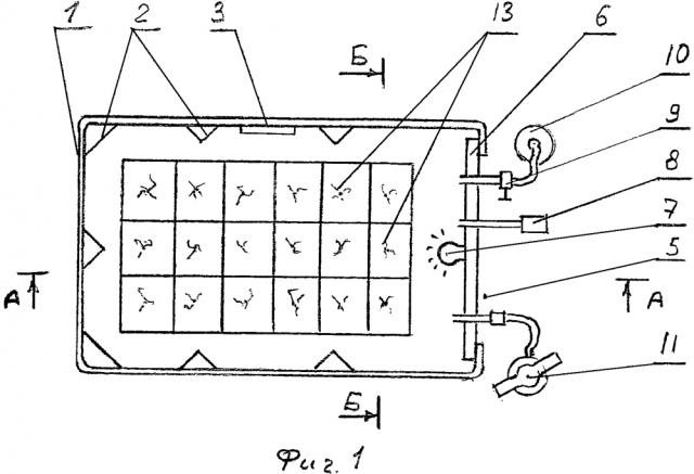 Способ и устройство для выращивания рассады под давлением девяткина в.д. (патент 2616778)