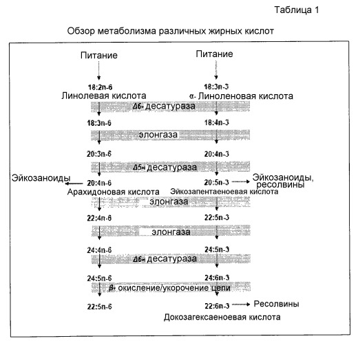 Сбалансированные жировые композиции и их применение в жидких питательных композициях для энтерального питания (патент 2546865)
