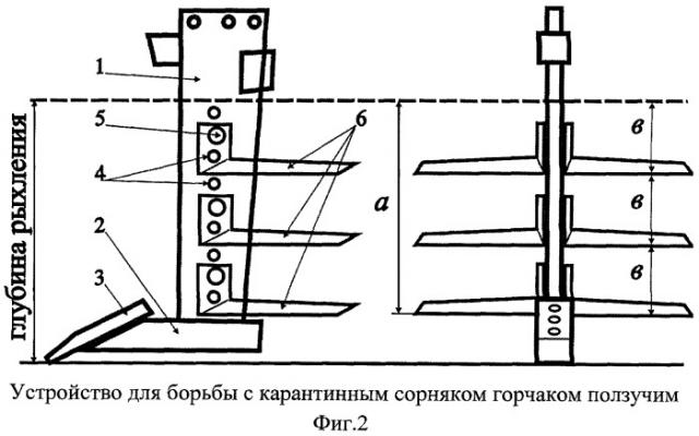 Способ борьбы с карантинным сорняком горчаком ползучим и устройство для его осуществления (патент 2444878)