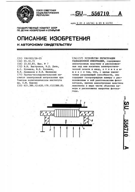 Устройство регистрации радиационной информации (патент 556710)