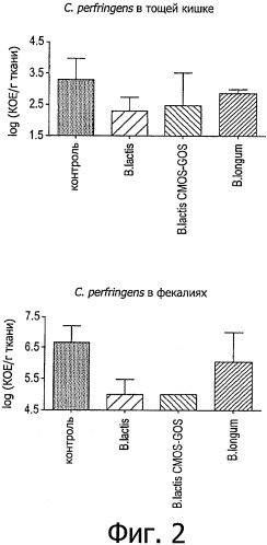 Применение штамма bifidobacterium lactis cncm i-3446 у детей рожденных, путем кесарева сечения (варианты) и пробиотическая композиция, содержащая указанный штамм (варианты) (патент 2521500)